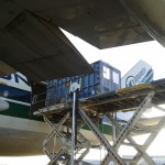 Mila in her crate being loaded