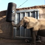 Mila finds the goodies